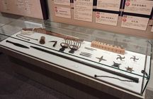 Wakayama: Sanada Yukimura, Samurai Hero Private Guided Tour