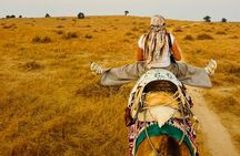 Jaisalmer: 2-Day Thar Desert Experience