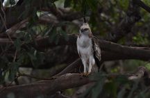 Yala Block 5 Safari - Untouched, Pure Wilderness & No Crowds!