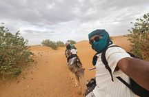 4 Day Desert Adventure from Fes to Marrakech