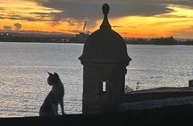 Signs and Wonders in Old San Juan History Culture and Mysteries