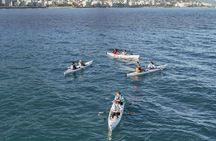 Guided Kayak Tours in Cape Town