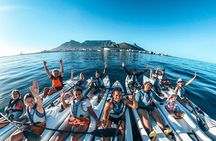 Dolphin kayaking tours Cape Town marine excursion