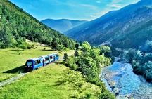 Train Experience through the Alps (Full Day from Nice)