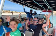 2 Hour Adventurous Powerboat Sightseeing & Snorkel Private Tour