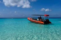 2 Hour Adventurous Powerboat Sightseeing & Snorkel Private Tour