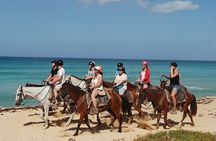 Buggy Horses and Zip Line from Punta Cana with Lunch Included