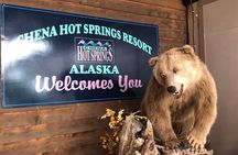 Northern Lights & Chena Hot Springs Tour