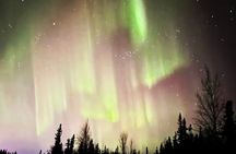 Northern Lights & Chena Hot Springs Tour