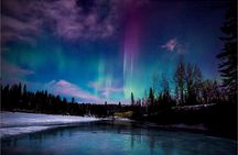 Northern Lights & Chena Hot Springs Tour