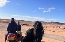 Marrakech: Agafay Desert Sunset Dinner, Camel Ride & Berber Show