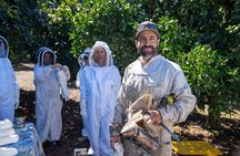 Meet the Bees Guided Apiary Tour and Honey Tasting