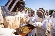 Meet the Bees Guided Apiary Tour and Honey Tasting