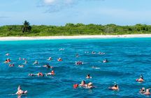  Punta Cana to Isla Catalina Day Tour on Catamaran