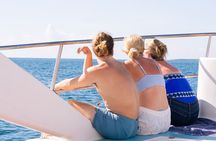  Punta Cana to Isla Catalina Day Tour on Catamaran