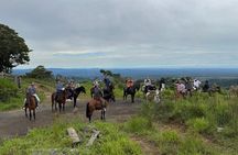 Horseback Riding Adventure in Boquete’s Cloud Forest (2 pax/min)