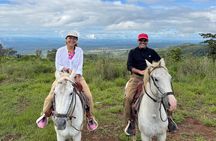 Horseback Riding Adventure in Boquete’s Cloud Forest (2 pax/min)