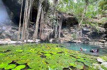 Explore Uxmal, 2 Magic Cenotes and Mayan Gastronomy
