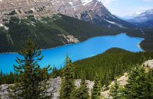 Banff to Columbia Icefield and Peyto Lake with Crowfoot Glacier