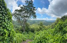 Cebu City Guided Trekking Experience