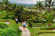 North Bali Nature and Heritage Private Tour
