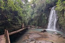 Private Ubud Tour with Monkey Forest and Waterfall