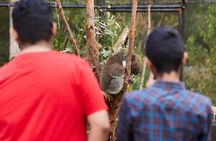 Yarra Valley Wine and Healesville Sanctuary Private Tour