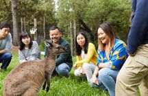 Yarra Valley Wine and Healesville Sanctuary Private Tour
