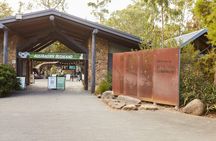 Yarra Valley Wine and Healesville Sanctuary Private Tour