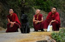 Dharamshala 5-Day Tour with Triund Hike, Monasteries & Temples