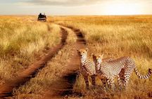 Serengeti Great Migration 5 Days Mara River crossing