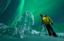 Adults Only Aurora Hunt in the Finnish Wilderness