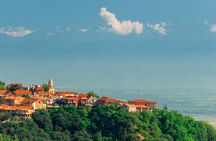 All Inclusive Kakheti Day Trip with Family Lunch and Wine tasting