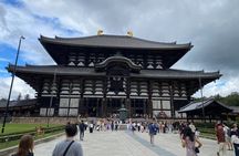 Nara Highlights Guided Tour by Private Car from Osaka