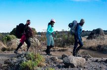 The Best of Machame Route in 6 Days: Your World's Summit Guide