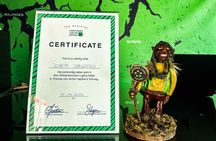 From Tromsø: Official Northern lights Safari