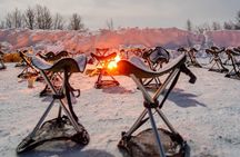 From Tromsø: Official Northern lights Safari