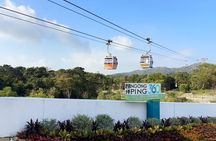 Lantau Island Day Trip: Giant Buddha & Cable Car with Pickup