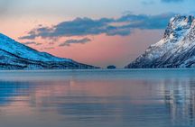 PRIVATE 5 Fjords Tour by Minivan in 4 Hours