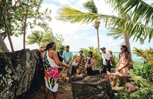 4WD Paradise Explorer Shared Tour in Bora Bora