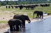 Chobe National Park Day Trip from Livingstone