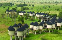 Private overnight To Saltlick Safari Lodge From Mombasa Or Diani