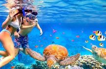 Full Day Tour Bali Blue Lagoon and East Bali Adventure 