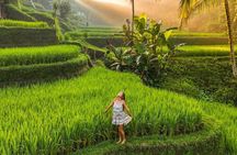 Full Day Tour Bali Blue Lagoon and East Bali Adventure 