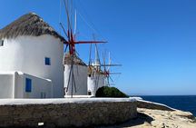 Mykonos in a Day Cruise Passenger Small Group Tour