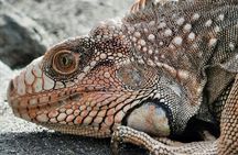 Corcovado National Park 2 Days 1 Night From Puerto Jimenez 