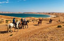 Nabq Beach Horse Riding with Stunning Red Sea Views
