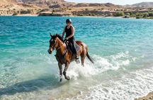 Nabq Beach Horse Riding with Stunning Red Sea Views