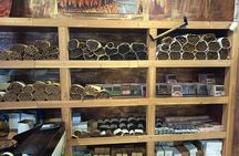 Half-Day Safari and City Tours