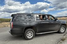 Yellowstone in a Day Private Guided Tour